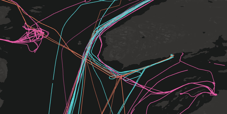 Screenshot of the trajectories data representation used in the platform
